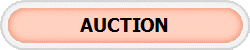 AUCTION